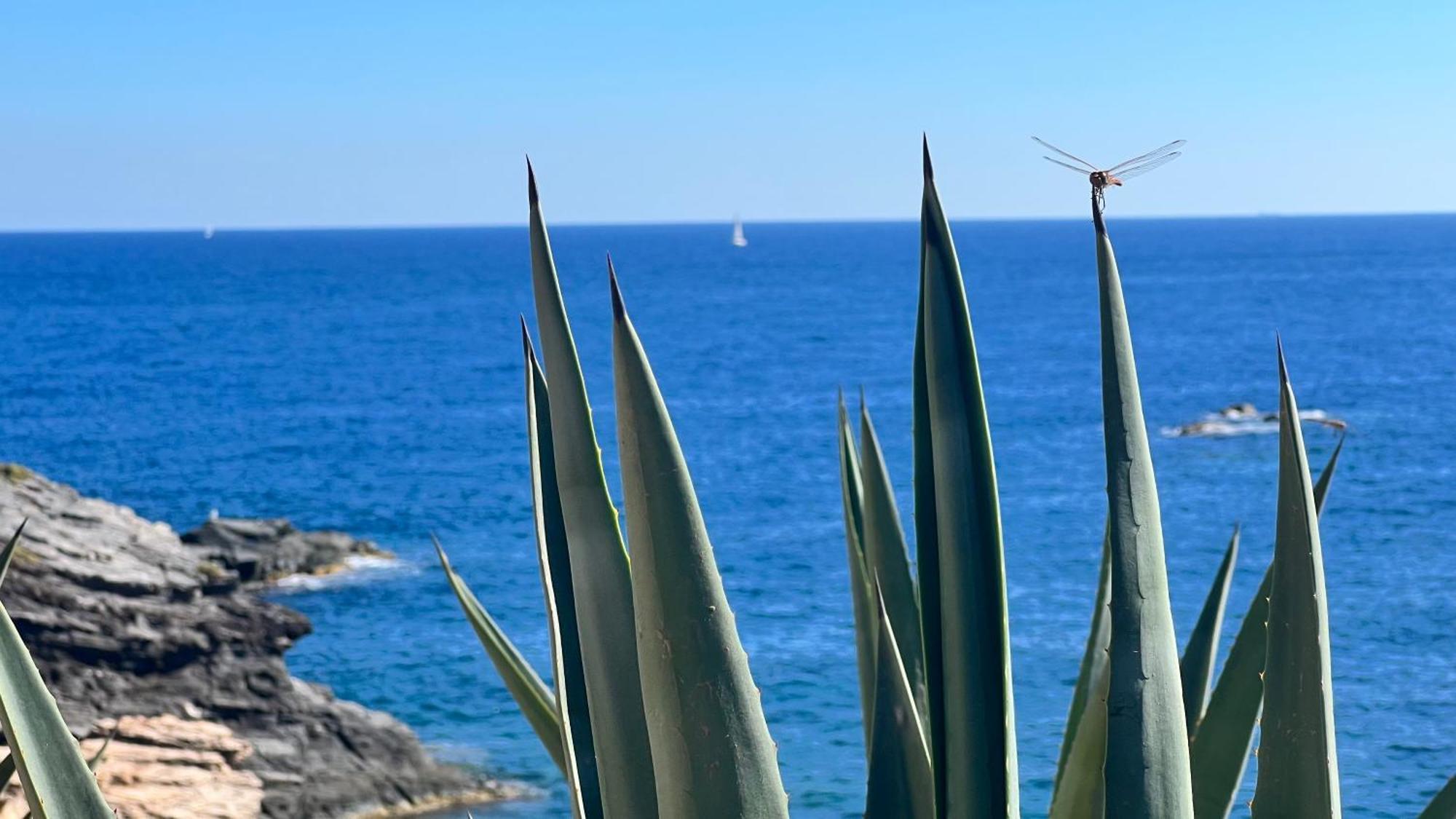 Turquesa Del Mar - Sun & Beach & Golf & Bike - Large Terrace Ground-Floor Spanish Apartment Dehesa de Campoamor  Eksteriør billede